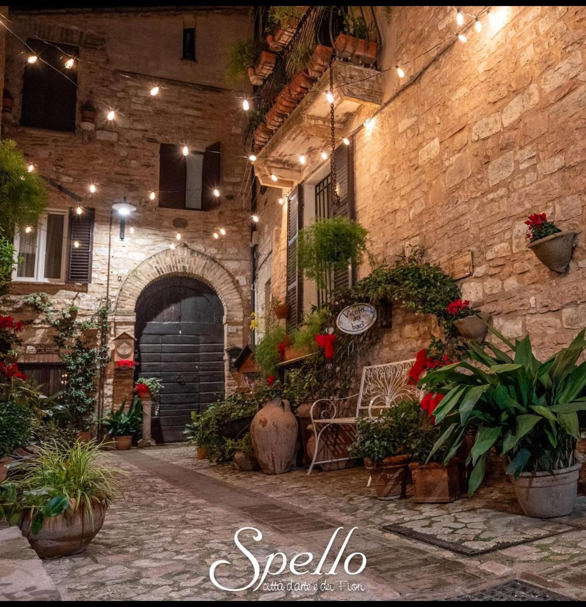 Il Sogno Daire Spello Dış mekan fotoğraf